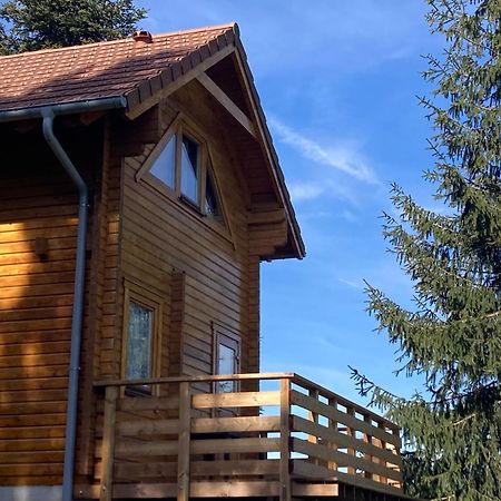 Chalet Authentique Au Calme, En Lisiere De Foret, Montagne, Sentiers 15Mn Gerardmer & Alsace "Chalet Mon Beau Sapin" Anould Екстер'єр фото