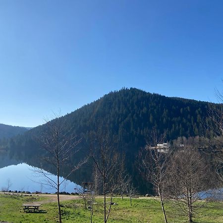 Chalet Authentique Au Calme, En Lisiere De Foret, Montagne, Sentiers 15Mn Gerardmer & Alsace "Chalet Mon Beau Sapin" Anould Екстер'єр фото
