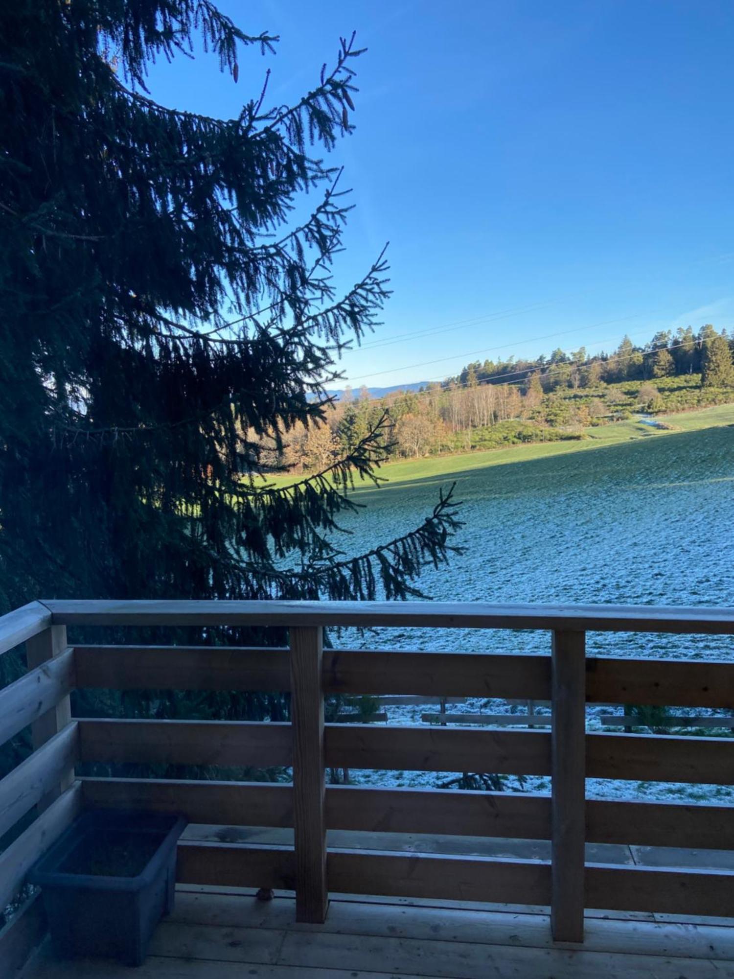 Chalet Authentique Au Calme, En Lisiere De Foret, Montagne, Sentiers 15Mn Gerardmer & Alsace "Chalet Mon Beau Sapin" Anould Екстер'єр фото