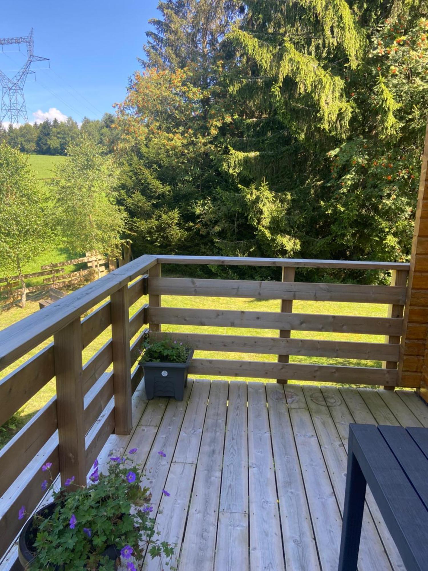 Chalet Authentique Au Calme, En Lisiere De Foret, Montagne, Sentiers 15Mn Gerardmer & Alsace "Chalet Mon Beau Sapin" Anould Екстер'єр фото