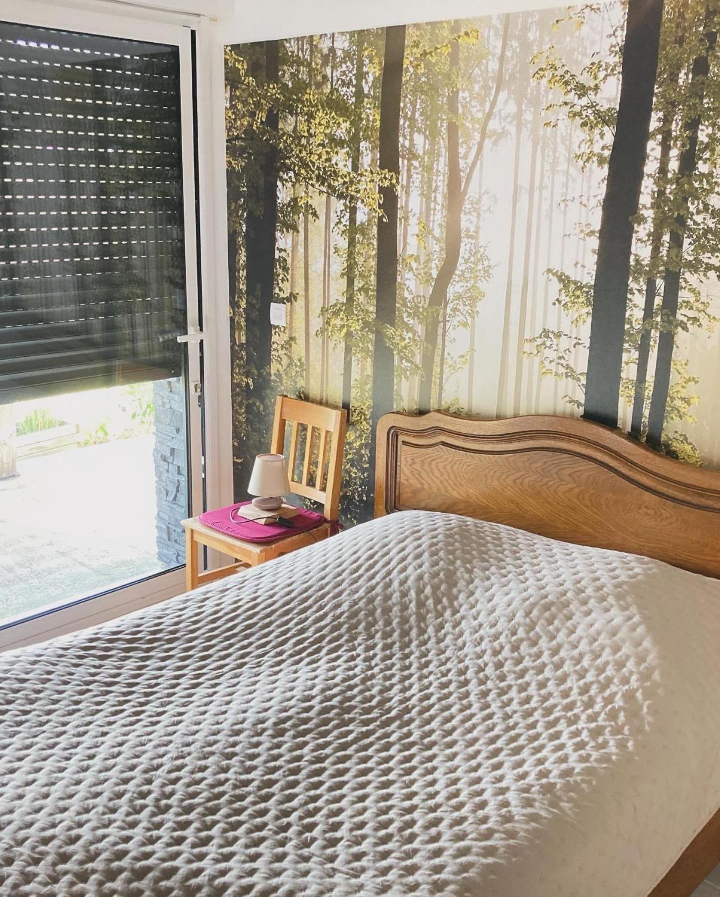 Chalet Authentique Au Calme, En Lisiere De Foret, Montagne, Sentiers 15Mn Gerardmer & Alsace "Chalet Mon Beau Sapin" Anould Екстер'єр фото