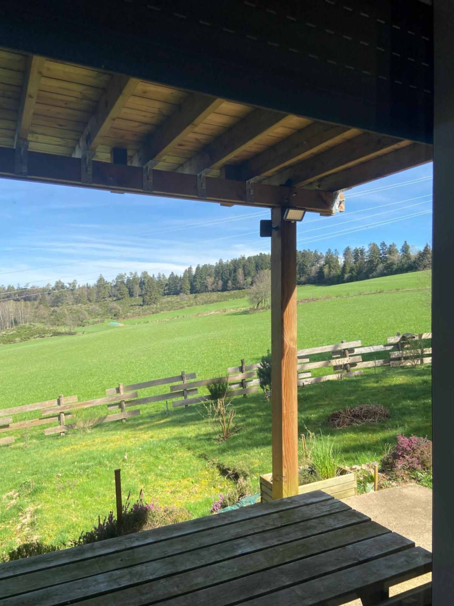 Chalet Authentique Au Calme, En Lisiere De Foret, Montagne, Sentiers 15Mn Gerardmer & Alsace "Chalet Mon Beau Sapin" Anould Екстер'єр фото