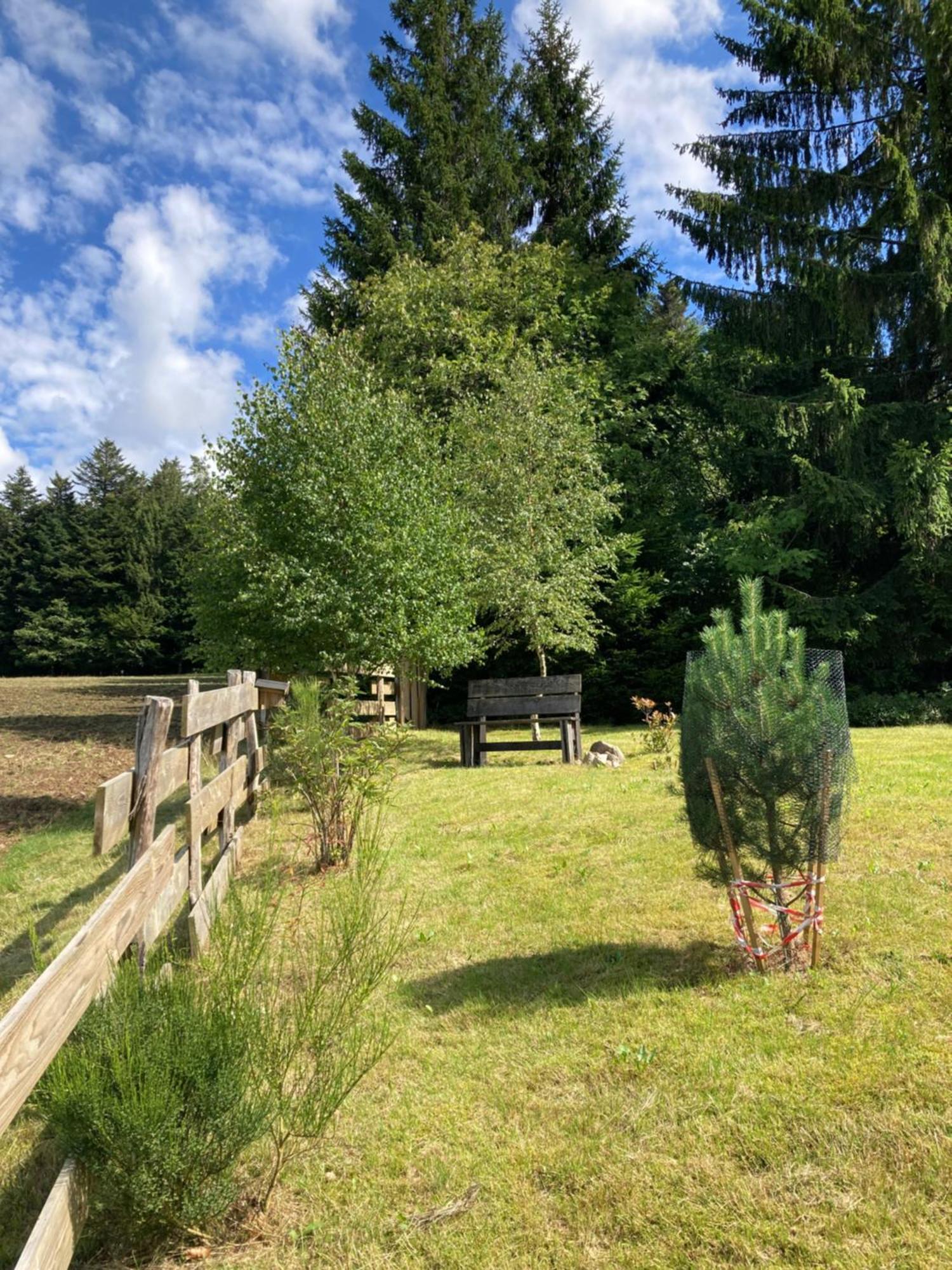 Chalet Authentique Au Calme, En Lisiere De Foret, Montagne, Sentiers 15Mn Gerardmer & Alsace "Chalet Mon Beau Sapin" Anould Екстер'єр фото