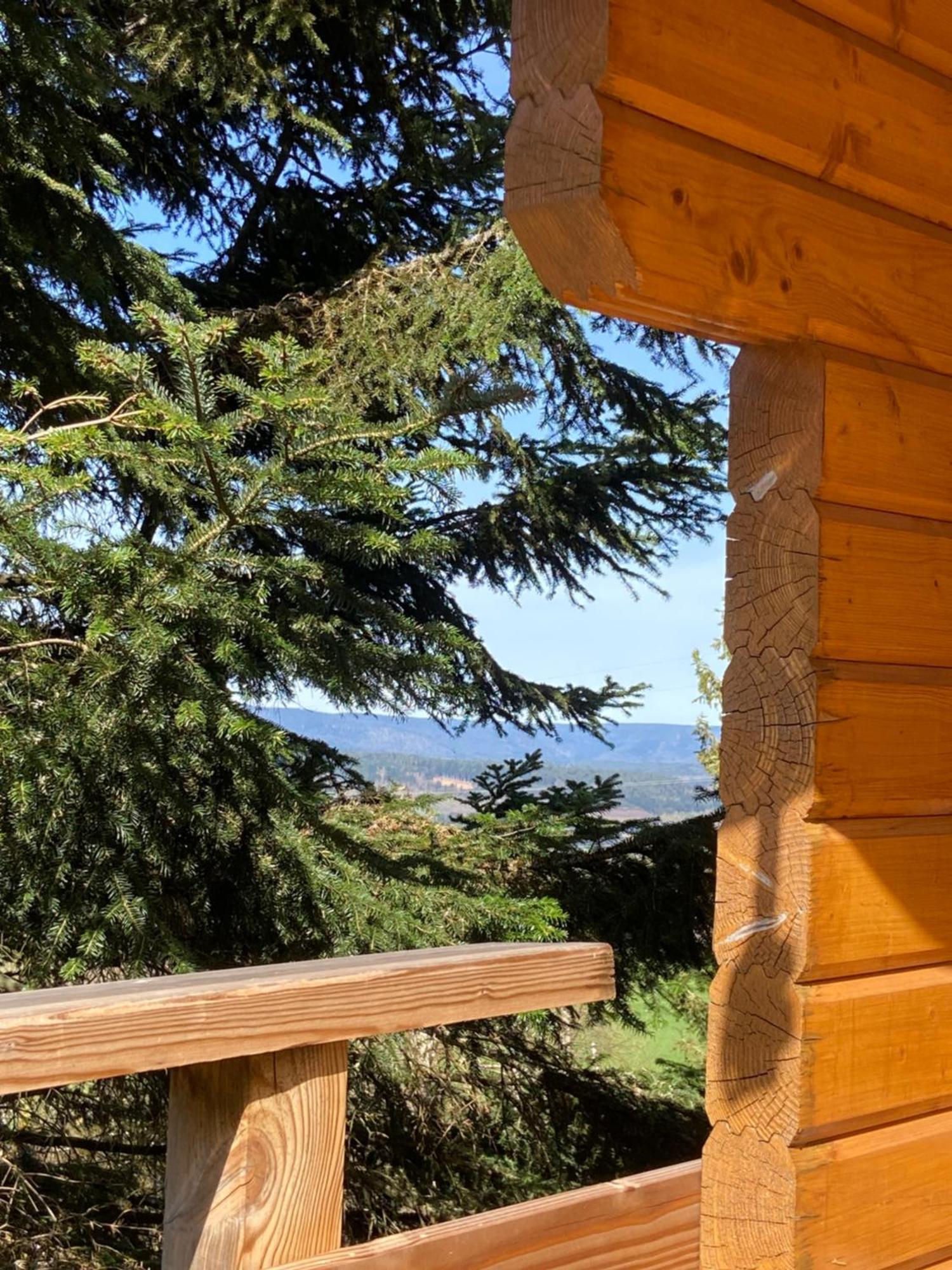 Chalet Authentique Au Calme, En Lisiere De Foret, Montagne, Sentiers 15Mn Gerardmer & Alsace "Chalet Mon Beau Sapin" Anould Екстер'єр фото
