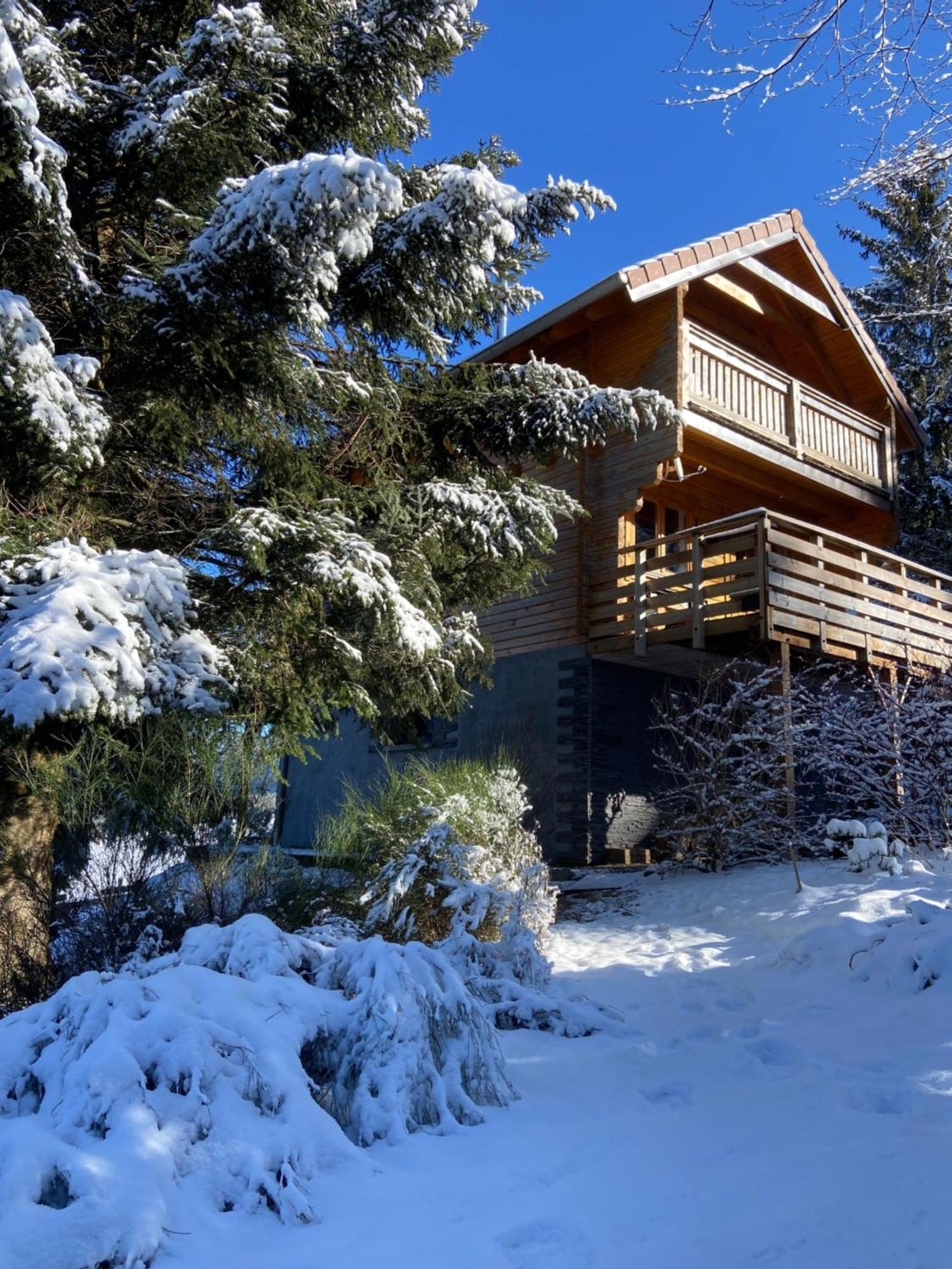 Chalet Authentique Au Calme, En Lisiere De Foret, Montagne, Sentiers 15Mn Gerardmer & Alsace "Chalet Mon Beau Sapin" Anould Екстер'єр фото
