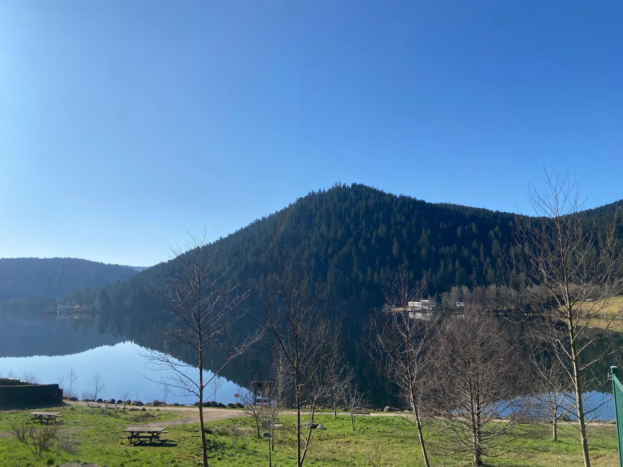 Chalet Authentique Au Calme, En Lisiere De Foret, Montagne, Sentiers 15Mn Gerardmer & Alsace "Chalet Mon Beau Sapin" Anould Екстер'єр фото