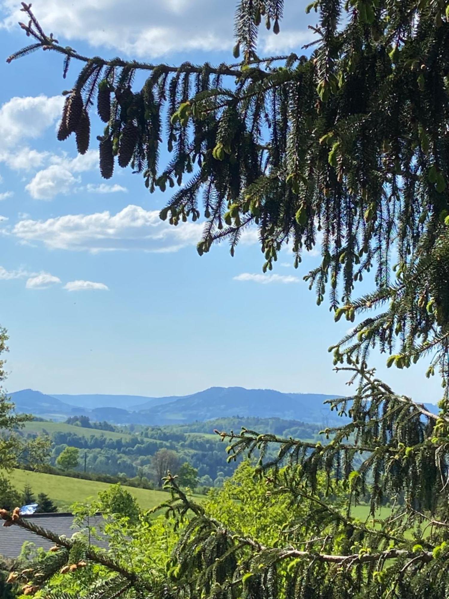 Chalet Authentique Au Calme, En Lisiere De Foret, Montagne, Sentiers 15Mn Gerardmer & Alsace "Chalet Mon Beau Sapin" Anould Екстер'єр фото