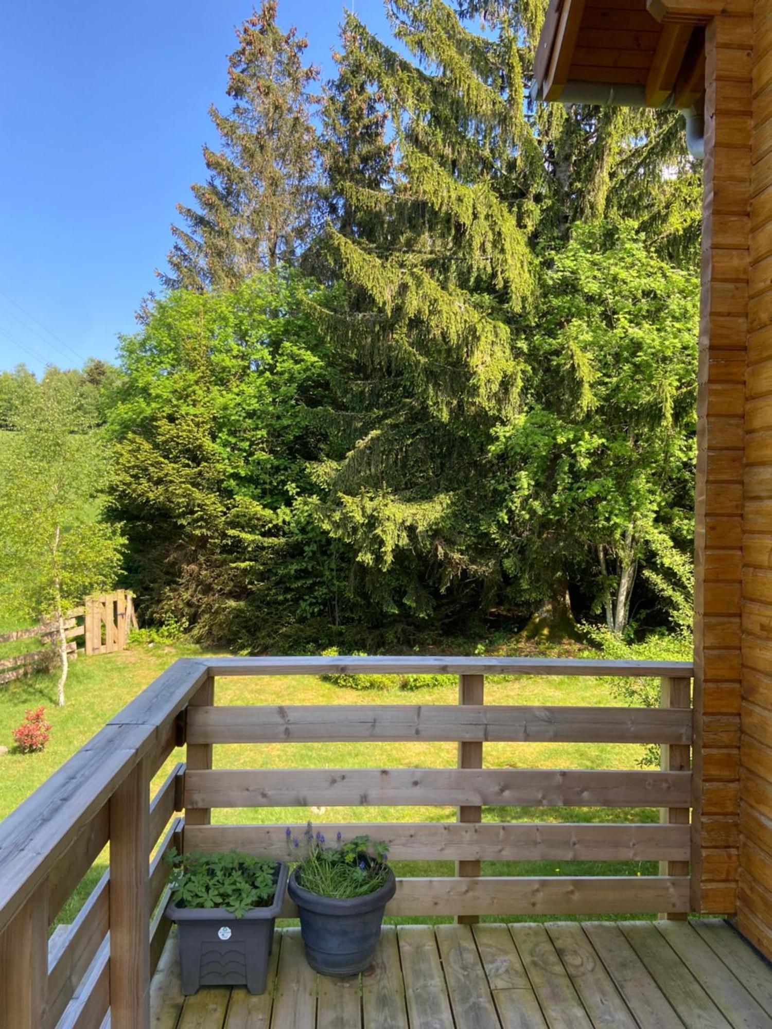 Chalet Authentique Au Calme, En Lisiere De Foret, Montagne, Sentiers 15Mn Gerardmer & Alsace "Chalet Mon Beau Sapin" Anould Екстер'єр фото